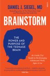 Daniel J. Siegel - Brainstorm