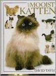 David A. Taylor - Het mooiste kattenboek