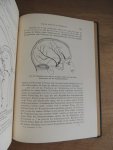 Bing Robert - Kompendium der topischen Gehirn- und Rückenmarksdiagnostik : Kurzgefasste Anleitung zur klinischen Lokalisation der Erkrankungen und Verletzungen der Nervenzentren