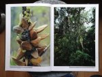 Lawrence, Max & Paul Chai - Borneo Alive - Exploring Sarawak's Rainforest