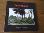 diverse auteurs - Downburst Hoogeveen 14 juni 2007