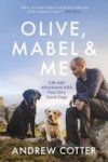 Andrew Cotter - Olive, Mabel & Me