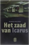 Reinold Vallinga - Zaad van icarus