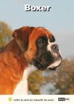  - Boxer / About pets