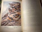 Bannerman. David - The Birds of Tropical West Africa - 8 vols, compleet