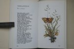 Bastin, Marjolein; Buisink, Frans - biologie: KLEIN HERBARIUM  gebonden exemplaar