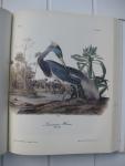 Audubon, John James - Die Vögel Amerikas. Neudruck der Erstausgabe Royal Octavo. Text von Susanne M. Low.