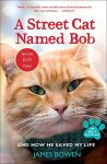 James Bowen 58290 - Street Cat Named Bob