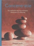 Laufer, M. - Concentratie / een praktische weg naar evenwicht, effectiviteit en zelfsturing