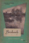 Reys, W.W. - Biesbosch [Land van griend en water]