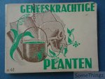 H. Callens S.J. - Geneeskrachtige planten.