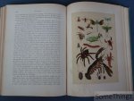 Hermann Wagner  en D. Horn (vertaling). - De natuurlijke historie : naar den vierden druk van "Wagner's Illustrierte Naturgeschichte". Met 306 gekleurde afbeeldingen naar aquarellen van W. Hoffmann en 282 houtgravures.