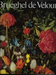 Descl e de Brouwer - Brueghel de Velours