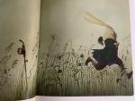 Carroll, Lewis (tekst) & Rébecca Dautremer (illustraties) - Alice in Wonderland