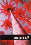 E. Abbas - Bruha ? E. Abbas - Bruha ?