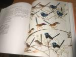 Rowley, Ian & Eleanor Russell - Fairy-Wrens and Grasswrens (Bird Families of the World)