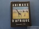Ylla (photogr.), L. S. B. Leakey (texte) et Michel Ragon (anecdotes) - Animaux d'Afrique par Ylla.
