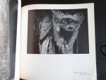 Catalogus - Deutsches Leermuseum, Deutsches Shuhmuseum, Kunsthandwerk, Volkskunde, Völkerkunde, Fachtechnik Catalogus - Deutsches Leermuseum, Deutsches Shuhmuseum, Kunsthandwerk, Volkskunde, Völkerkunde, Fachtechnik