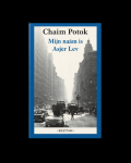 Chaim Potok - Mijn naam is Asjer Lev – Chaim Potok