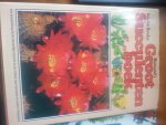 Rowley - Moussault's groot succulenten boek