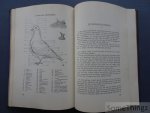 C.A.M. Spruijt. - Praktische duiventeelt. Vademecum voor de liefhebber. Met 40 illustraties en 80 tekeningen door Joh. Lentink.