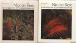 Wilkens, Peter - Niedere Tiere im tropischen Seewasseraquarium (2 volumes)