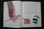Fisher, James; Peterson, Roger Tory - algemene ornithologie: VOGELS  OVERAL  een inleiding tot de algemene ornithologie