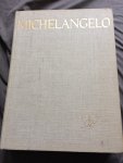 Salmi - The complete works of Michelangelo