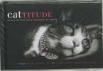 K. Levin - Cattitude