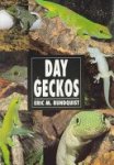 Eric Rundquist - Day Geckos