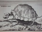 Cornelius van Dyk - Osteologia of nauwkeurige geraamt beschryving van verscheyde dieren Cornelius van Dyk - Osteologia of nauwkeurige geraamt beschryving van verscheyde dieren
