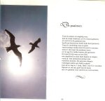 Benschop,  Nel  (1918-2005), Nederlands bekendste dichteres, publiceerde tussen 1967 en 1999 zeventien dichtbundels. - Geloven is geluk  ..   Die zondagwandelingen zijn zo lang geleden