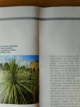 Graaf, Ben de - Het Europees Kampioenschap Voetbal. Zweden 1992