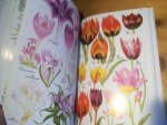 Blamey, M & C Grey-Wilson - Wilde Flora rond de Middellandse Zee