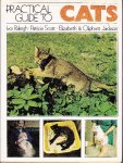 Raleigh, Ivor/Scott, Patricia/Jackson, Elizabeth & Oliphant - Practical Guide to Cats