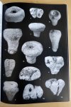 Nederlandse Geologische Vereniging - Staringia no. 9 - Ordovicische zwerfsteensponzen