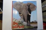 Gröning, K. & Saller, M. - De olifant in de natuur en de cultuurgeschiedenis