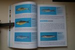 Daniel Golani; Osturk, Bayram; Basusta, Nuri; - FISHES OF THE EASTERN MEDITERRANEAN  over 470 species in color photograph or detailed drawing