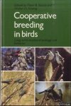 Stacey, Peter B. & Walter D. Koenig - Cooperative breeding in birds: long-term studies of ecology and behavior