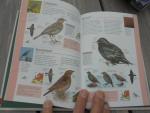 samenstellers - vogels in nederland
