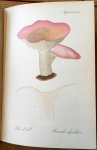 Migulas, professor dr. W. - Die eßbaren und giftigen Pilze Mit 80 farbigen Tafeln in Originalgröße Bestimmungsbuch der wichtigsten Pilzarten zum Gebrauch für Jedermann