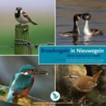 Abel, G - Broedvogels in Nieuwegein waar, hoeveel en trends (met cd met vogelgeluiden)
