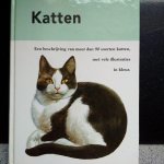 Pintera, Albert - Katten