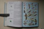 Peter Hayman; John Marchant; Tony Prater - Shorebirds: An Identification Guide to the Waders of the World : 1800 birds painted in full colour  214 distribution maps