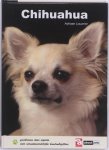 [{:name=>'Adriaan Louwrier', :role=>'A01'}] - Chihuahua / Over Dieren
