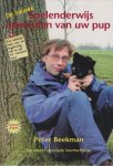 Peter Beekman - Spelenderwijs opvoeden van uw pup
