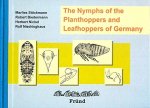 Marlies Stöckmann - The Nymphs of the Planthoppers and Leafhoppers of Germany