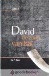 Blok, Ds. P. - David, de zoon van Isai, deel 1 *nieuw* --- Serie David, deel 1