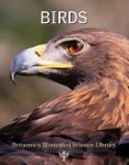 Britannica Illustrated Science Library - Birds