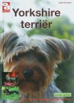 A. Koster - Yorkshire terrier / Over Dieren